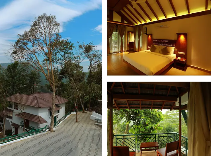 resorts in kumily for honeymoon