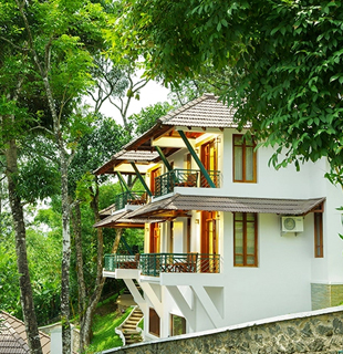 premium resort in thekkady