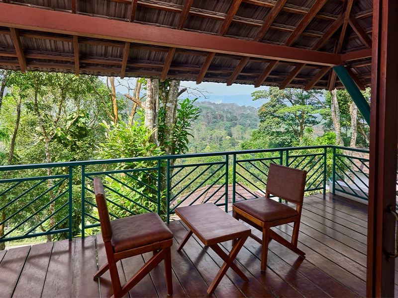 5 star resort in thekkady