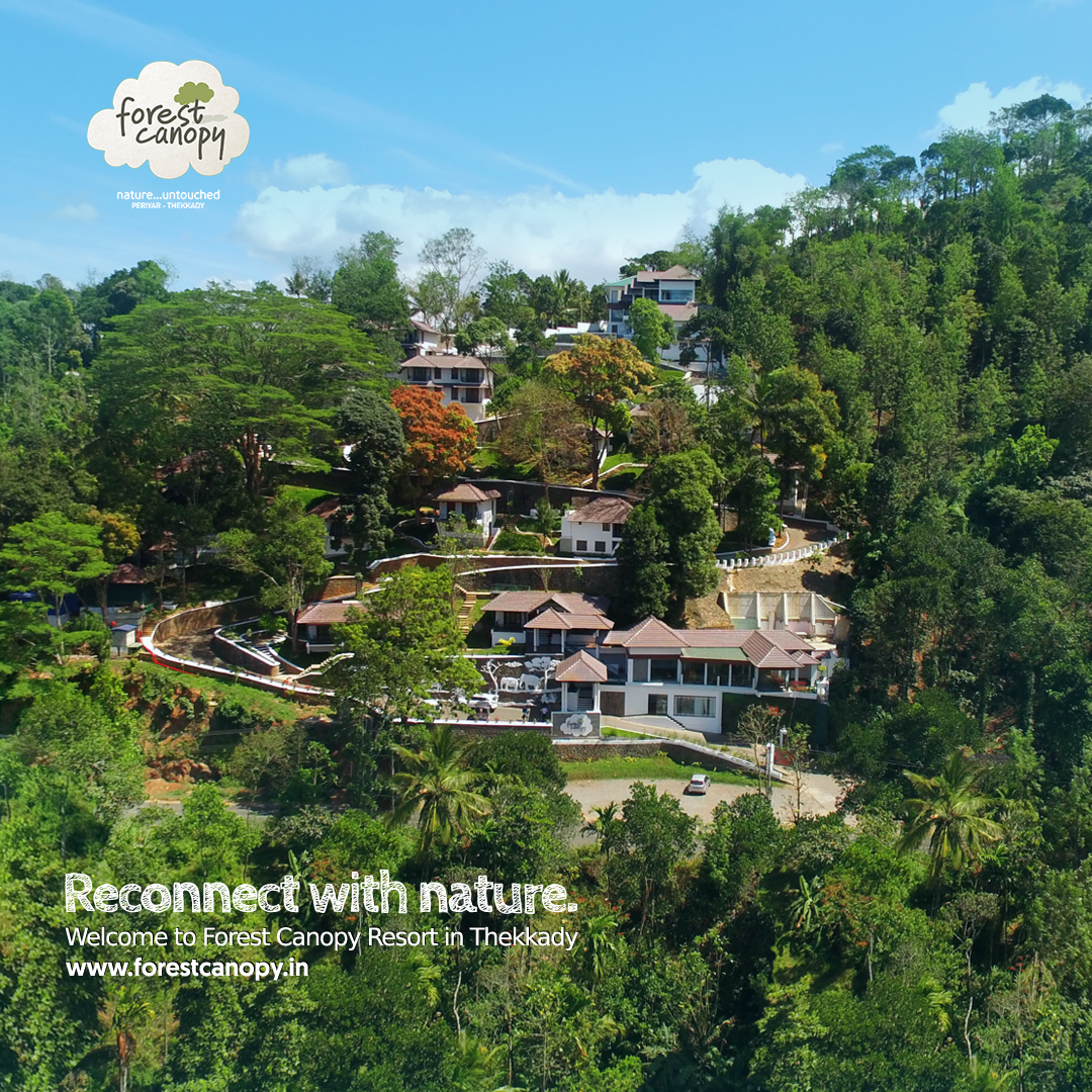 Luxury resots in thekkady kerala