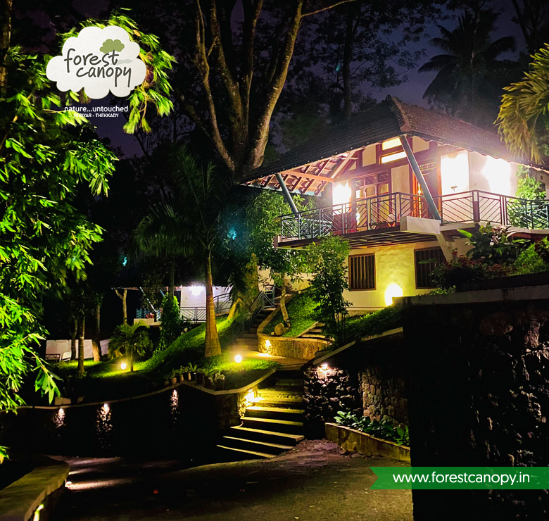 Forest Canopy Resort Thekkady, Kerala