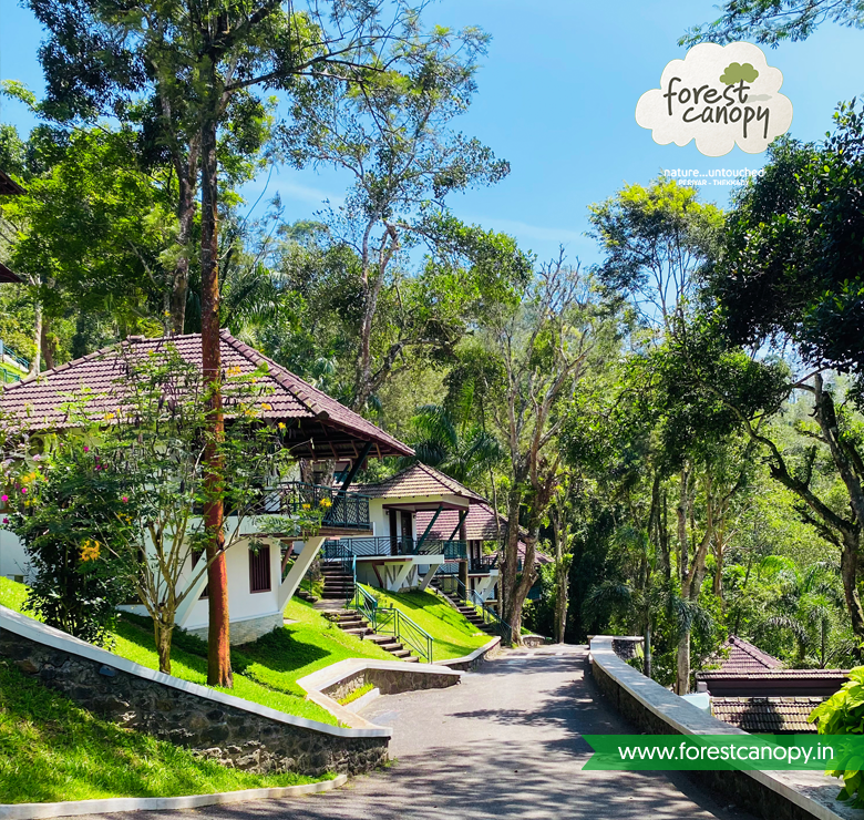 Forest Canopy Resort Thekkady, Kerala