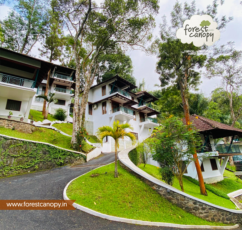 Forest Canopy Resort Thekkady, Kerala