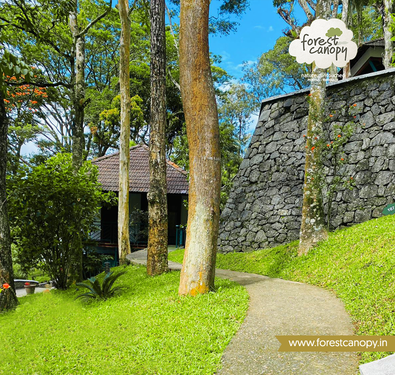 Forest Canopy Resort Thekkady, Kerala