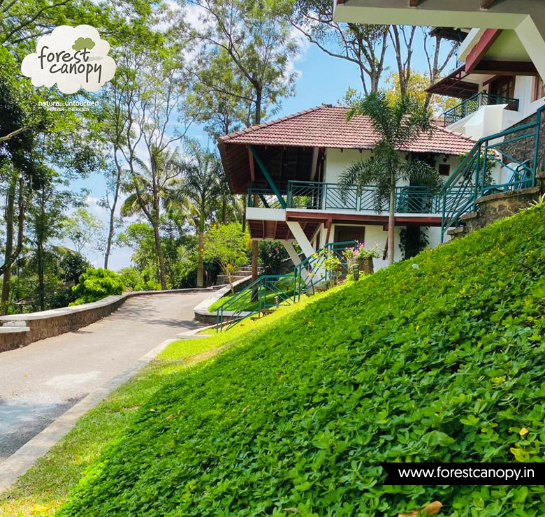 Forest Canopy Resort Thekkady, Kerala