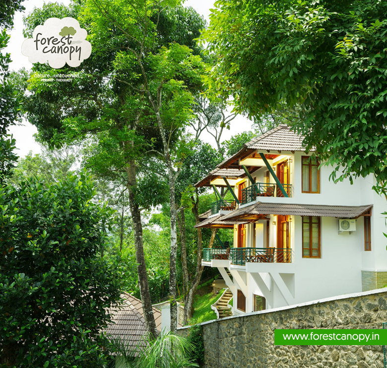 Forest Canopy Resort Thekkady, Kerala
