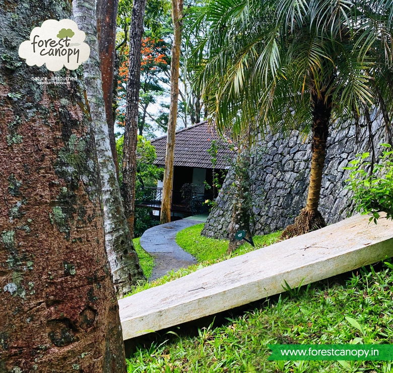 Forest Canopy Resort Thekkady, Kerala