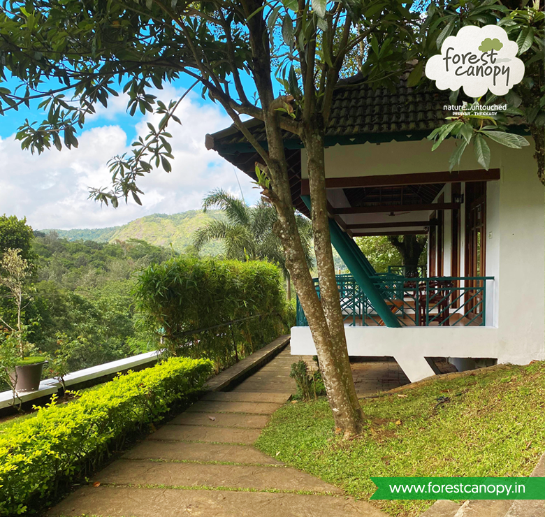 Forest Canopy Resort Thekkady, Kerala