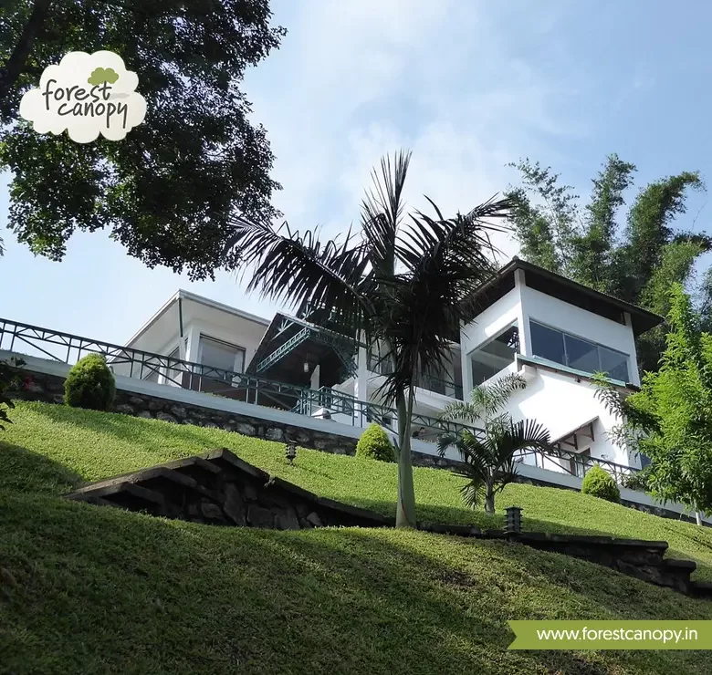 Forest Canopy resort, Thekkady