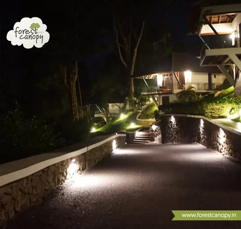 Forest Canopy resort, Thekkady