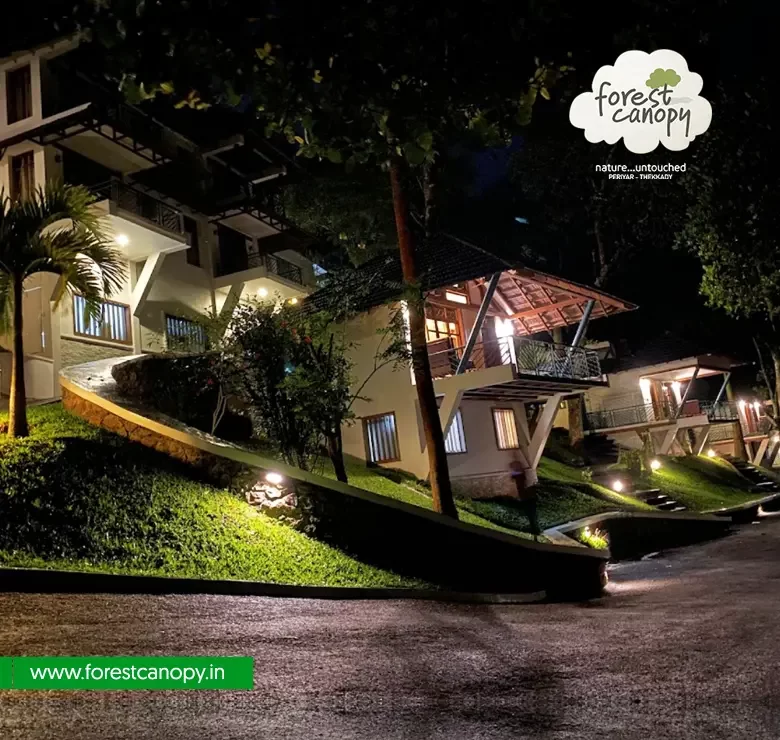 Forest Canopy resort, Thekkady