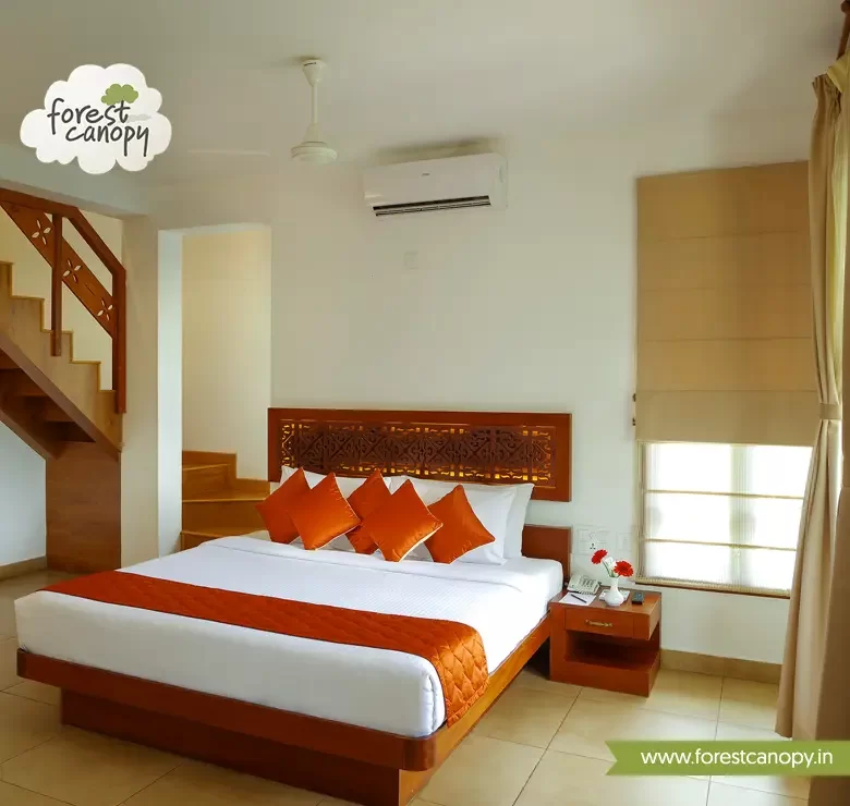 Forest Canopy resort, Thekkady