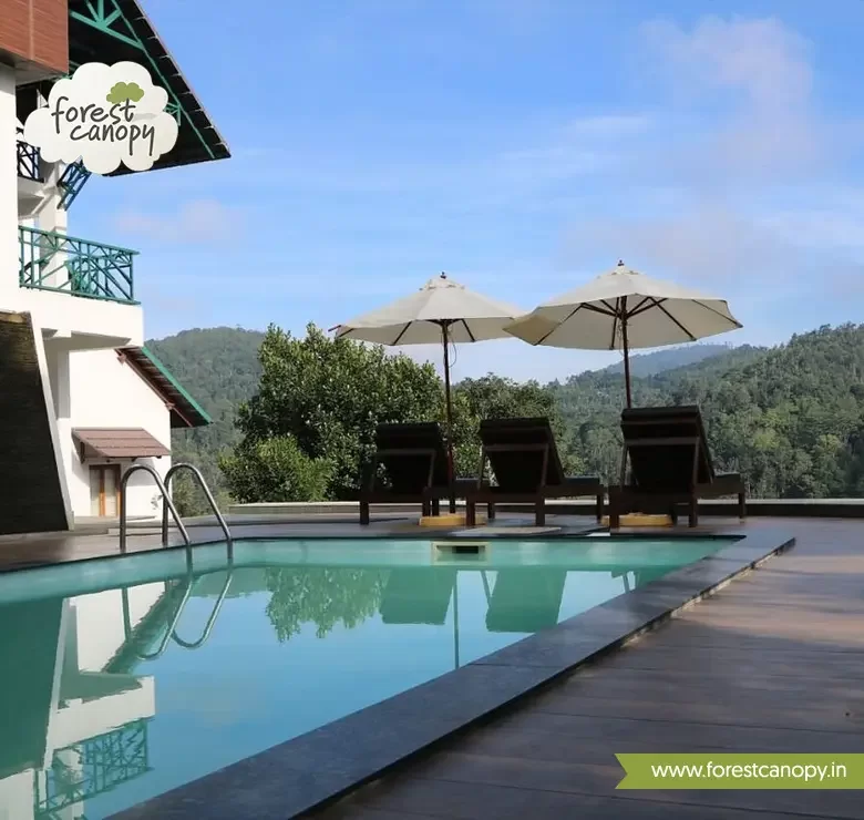 Forest Canopy resort, Thekkady