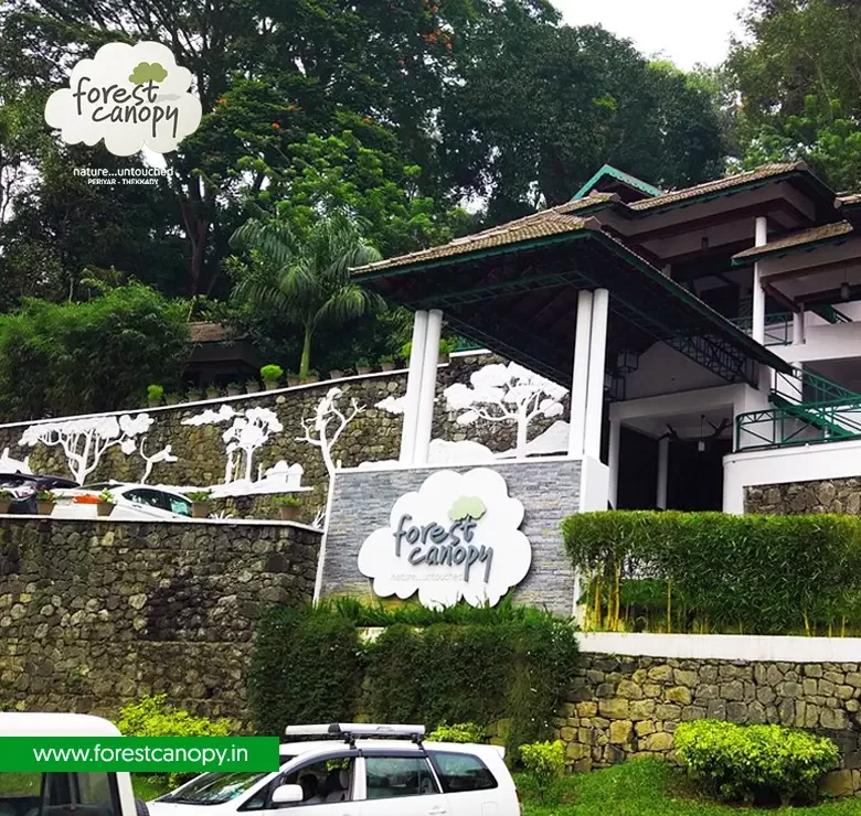 Forest Canopy resort, Thekkady