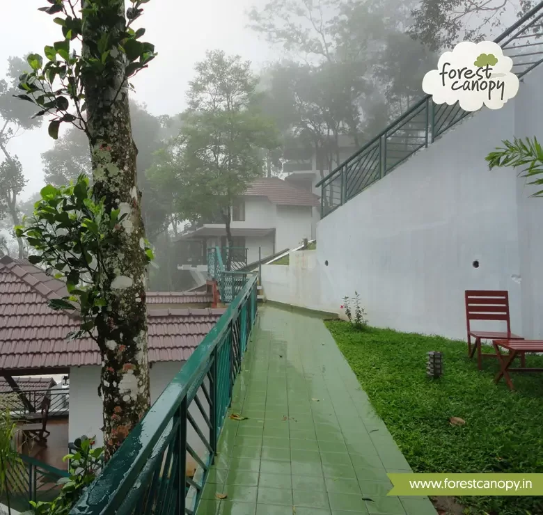 Forest Canopy resort, Thekkady