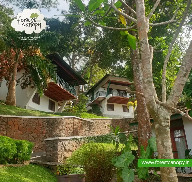 Forest Canopy resort, Thekkady