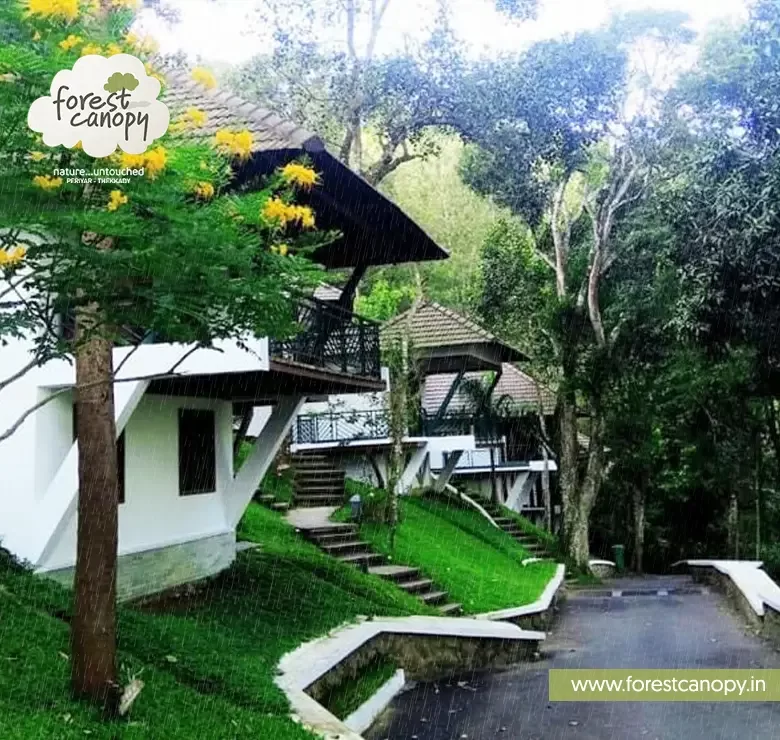 Forest Canopy resort, Thekkady