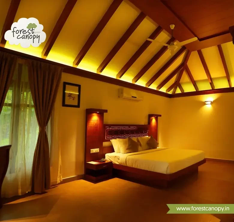 Forest Canopy resort Interior