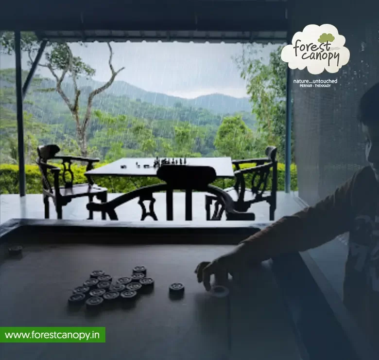 Forest Canopy resort, Thekkady