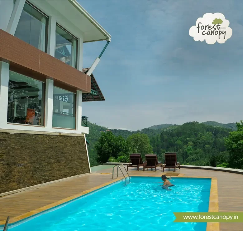 Forest Canopy resort, Thekkady
