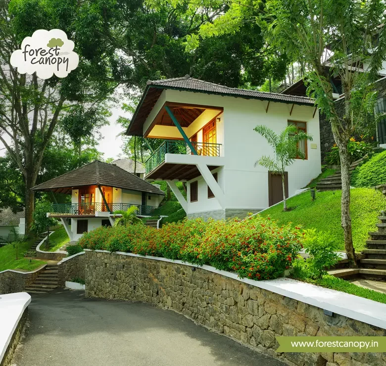 Forest Canopy resort, view from road