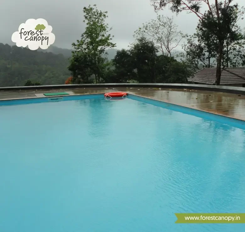 Forest Canopy resort, Thekkady