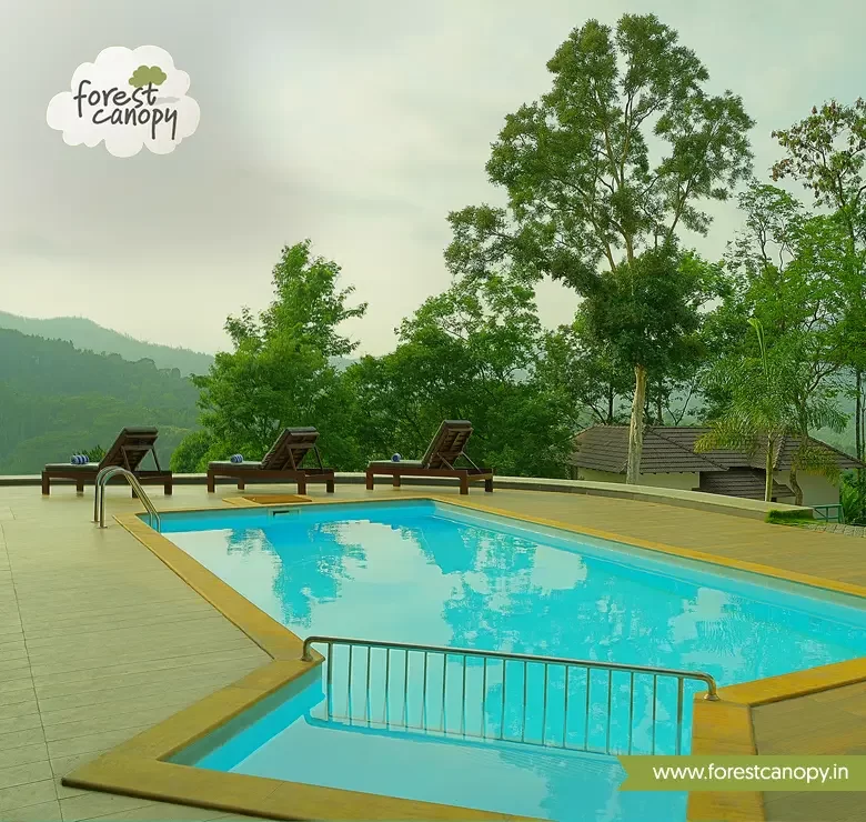 Forest Canopy resort, Thekkady