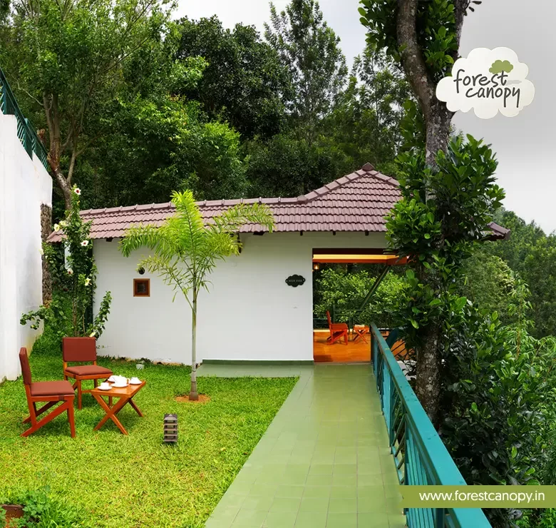 Forest Canopy resort, Thekkady