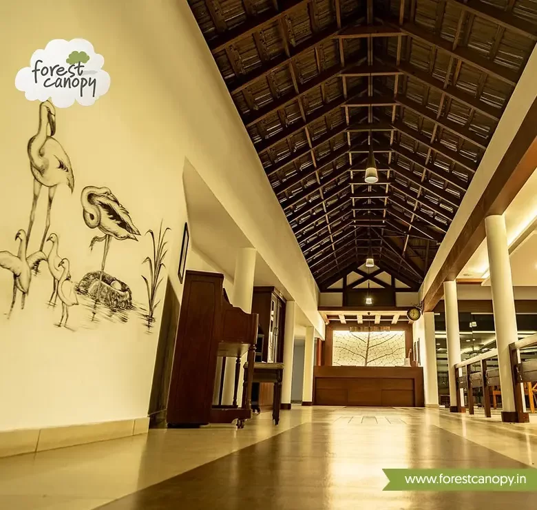 Forest Canopy resort, Thekkady