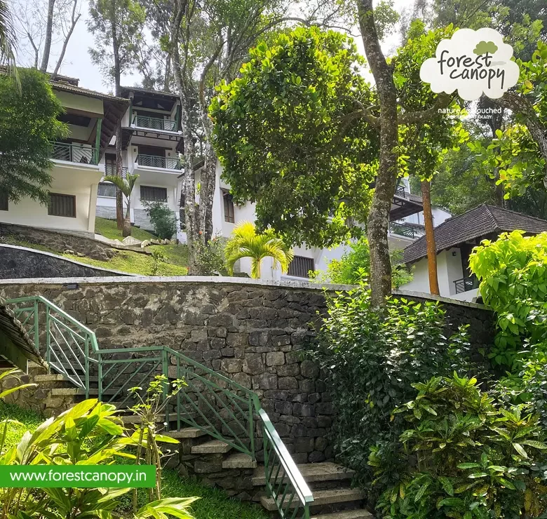 Forest Canopy resort, Thekkady