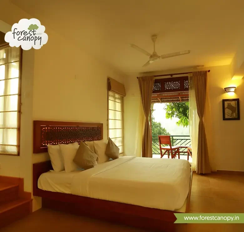 Forest Canopy resort suit room