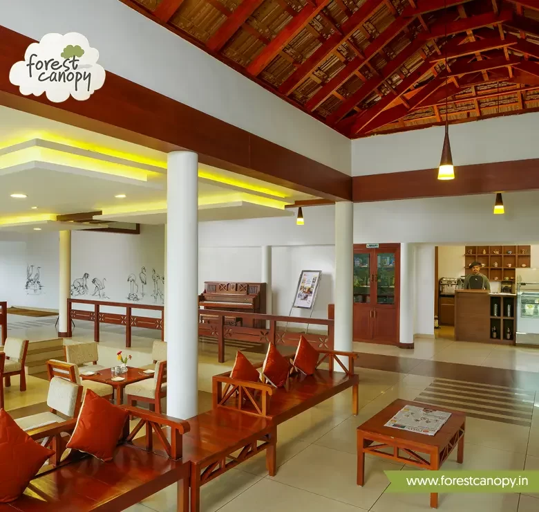 Forest Canopy resort, Thekkady