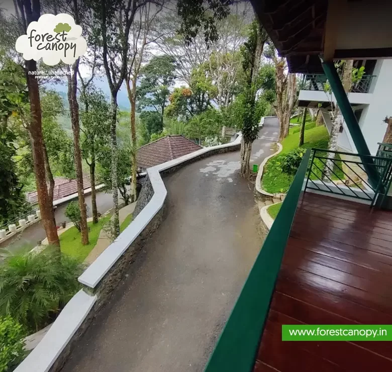 Forest Canopy resort, Thekkady