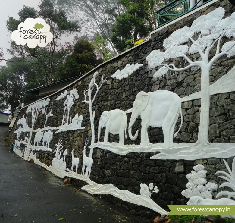 Forest Canopy resort, Thekkady