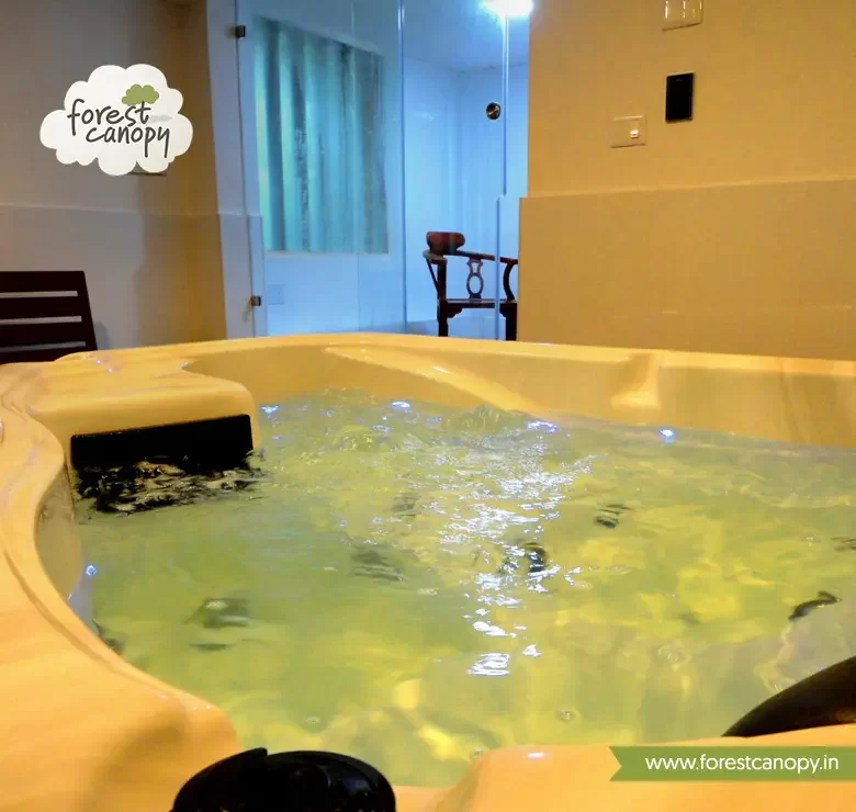 Forest Canopy resort, Thekkady