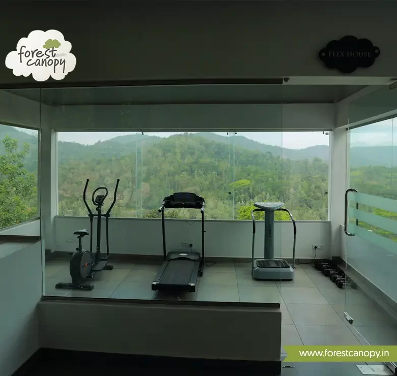 Forest Canopy resort, Thekkady