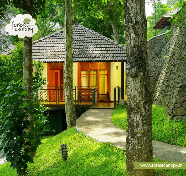 Cottage view of Forest Canopy resort, Thekkady