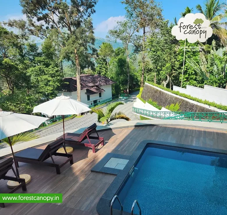 Forest Canopy resort, Thekkady