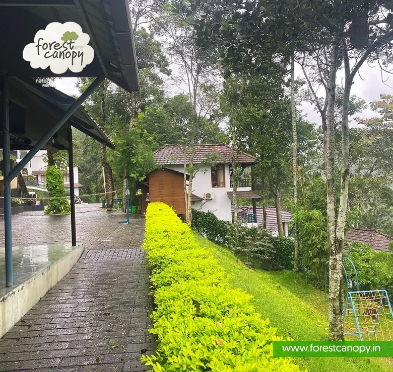 Raining time Forest Canopy resort, Thekkady