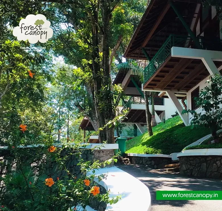 Forest Canopy resort, Thekkady