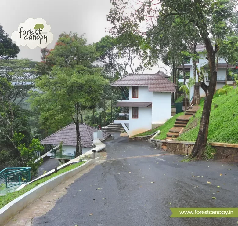 Forest Canopy resort, Thekkady