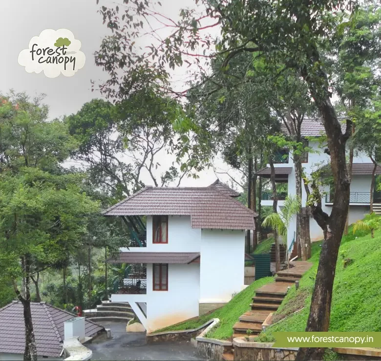 Forest Canopy resort, Thekkady