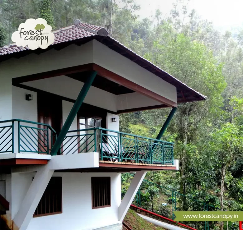 Forest Canopy resort, Thekkady