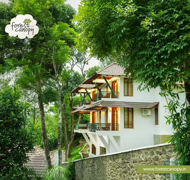 Forest Canopy resort, Thekkady