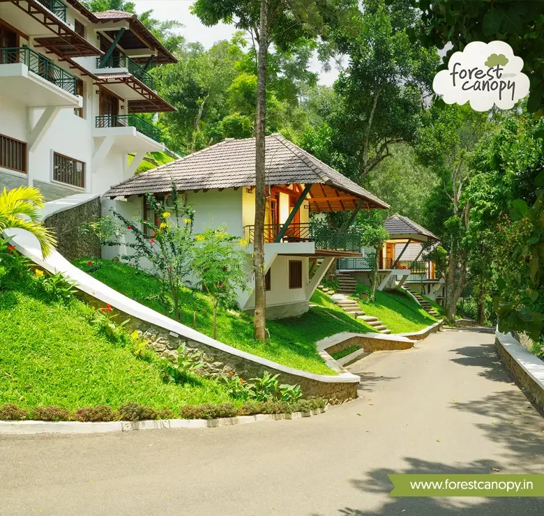 Forest Canopy resort, Thekkady inside view