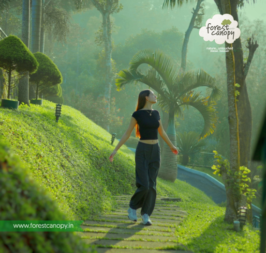 luxury resort in thekkady