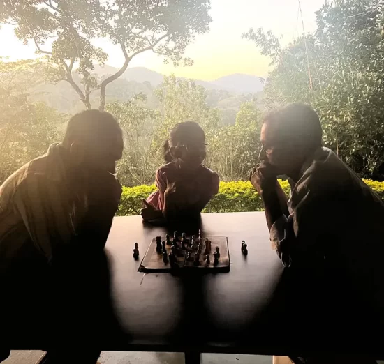 thekkady luxury resorts 
