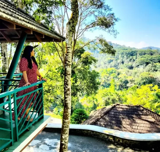 best resort in thekkady kerala