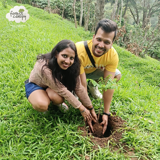 forest resorts in kerala